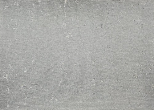 NCP008