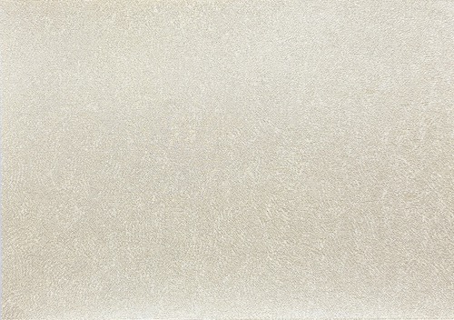 NCP017